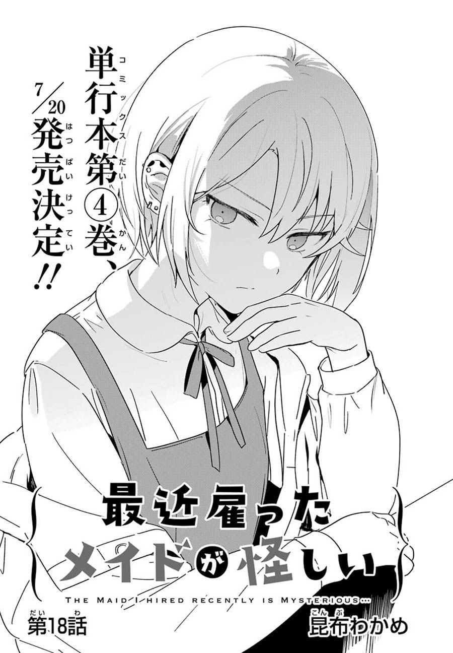 My Recently Hired Maid Is Suspicious (Serialization)
